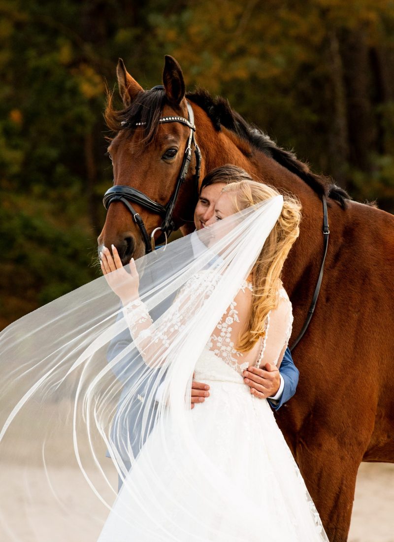 Bruiloft.Charlotte&Lars.Soesterduinen.Paard.Jurk.portretten.actie.Cable